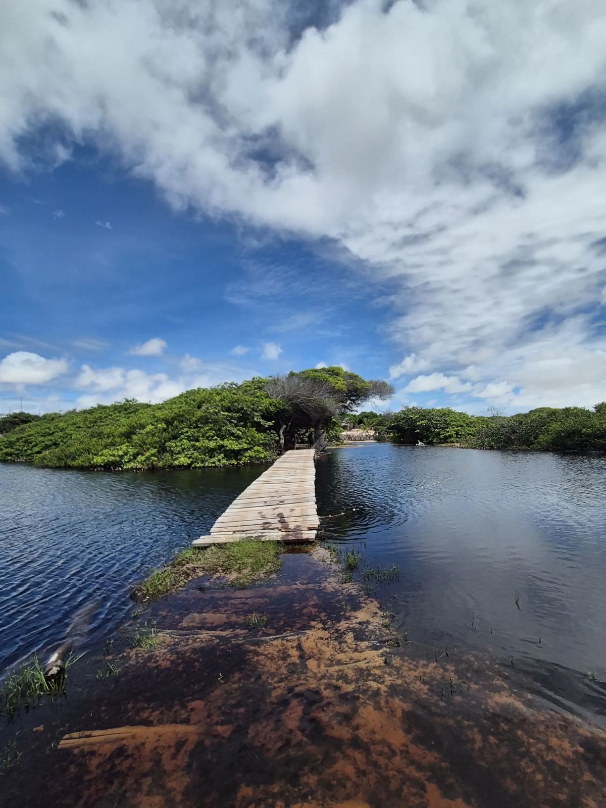 Ponte de madeira sobre lagoa cercada de vegetação